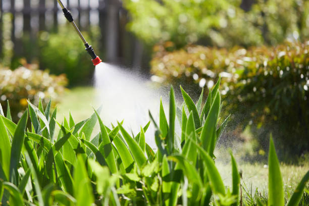 24/7 Emergency Wasp Removal experts in Plymouth, OH