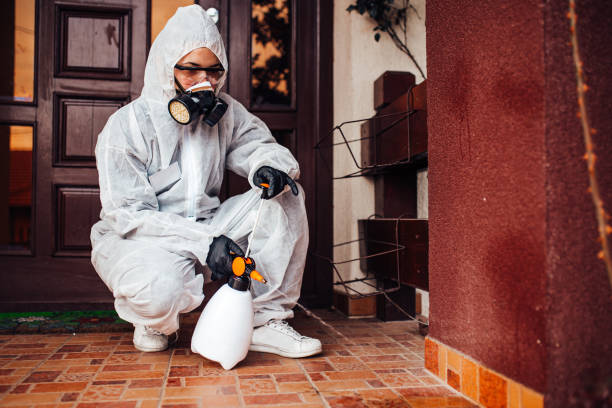 Reliable Wasp Removal contractor in Plymouth, OH by Show Me Pest Control